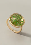 Anillo